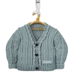 Official Taylor Swift TTPD Album Cardigan Ornament